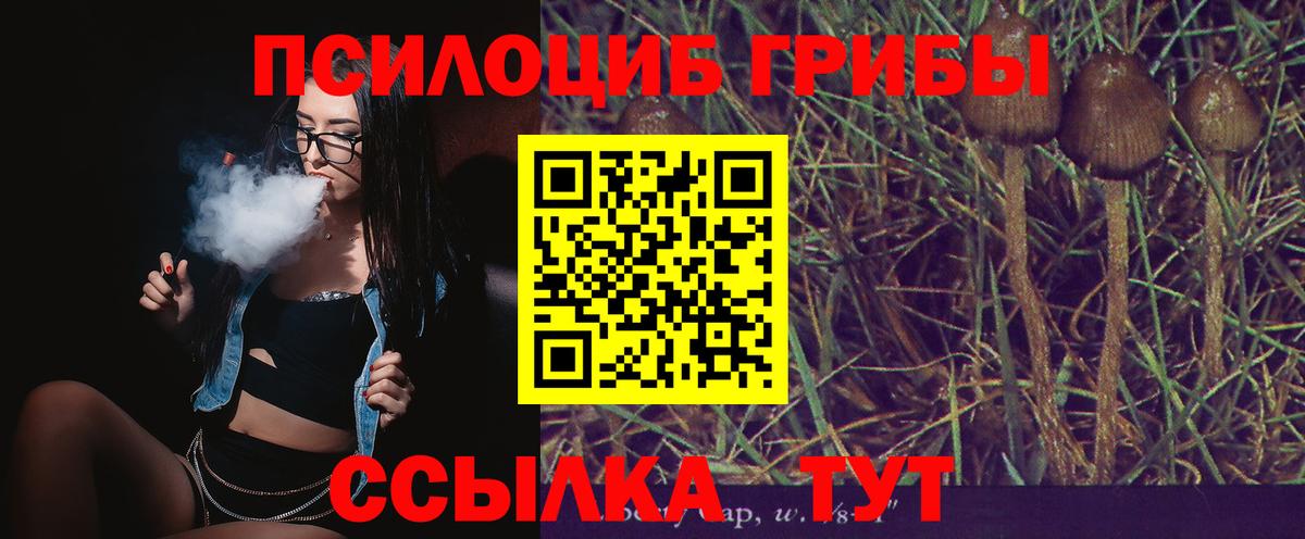 Галлюциногенные грибы мицелий  купить   Вход с VPN  Холмск  Галлюциногенные грибы Psilocybe 